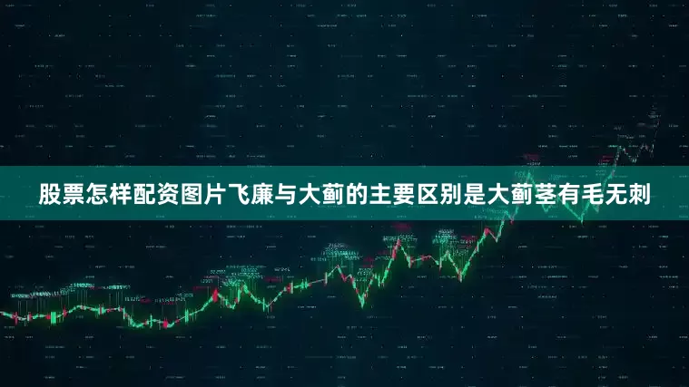 股票怎样配资图片飞廉与大蓟的主要区别是大蓟茎有毛无刺