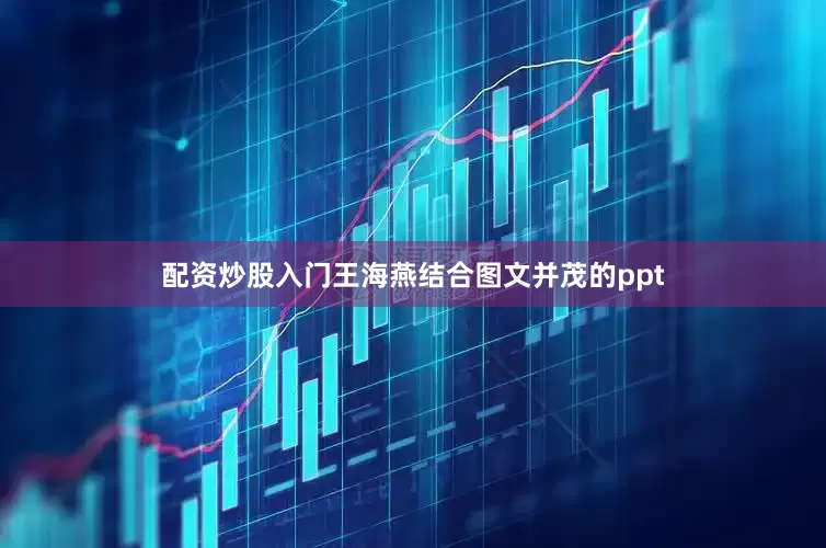 配资炒股入门王海燕结合图文并茂的ppt