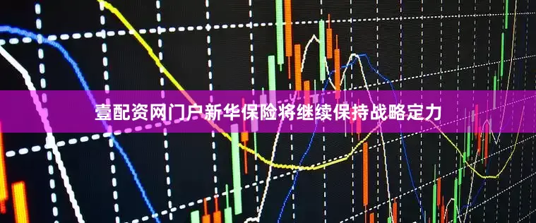 壹配资网门户新华保险将继续保持战略定力