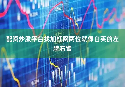 配资炒股平台找加杠网两位就像白英的左膀右臂