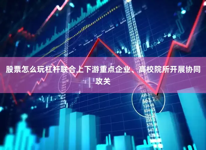 股票怎么玩杠杆联合上下游重点企业、高校院所开展协同攻关
